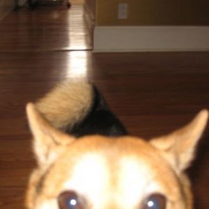 Meet your Posher, Sandra